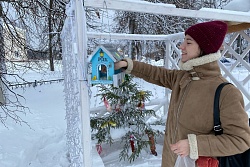 18 января «Волонтеры культуры» МКУК «Районный Дом культуры» провели акцию «Дари добро. Покорми птиц зимой» приуроченную к празднику «День зимующих птиц России».